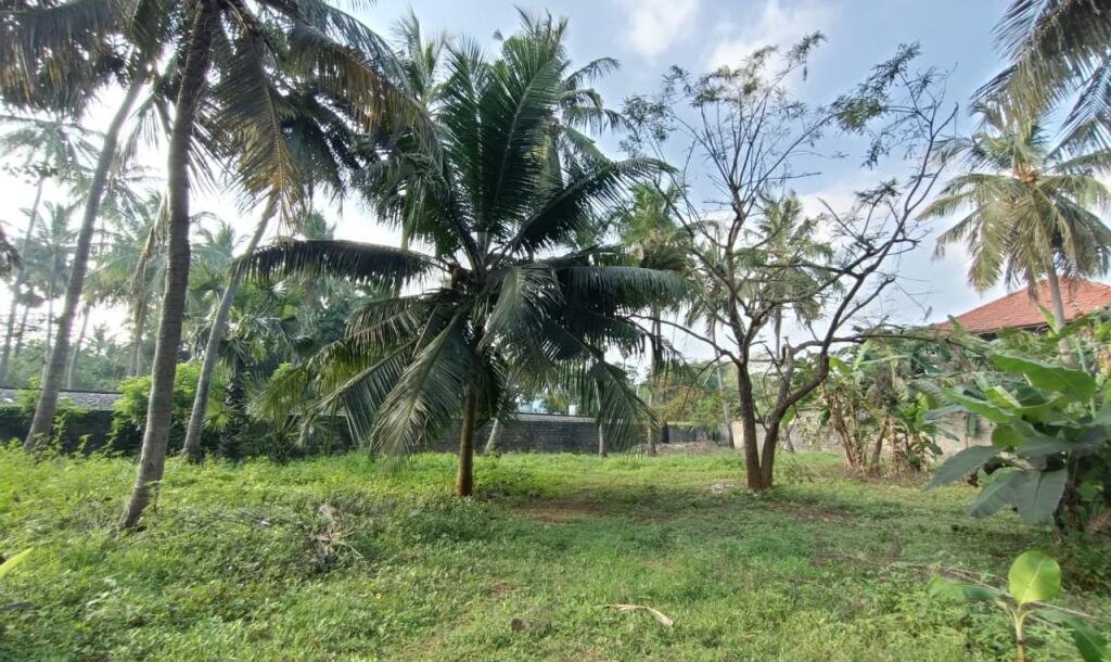 காணி 5 பரப்பு-2