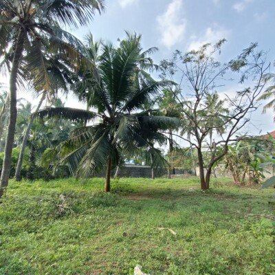 காணி 5 பரப்பு-2
