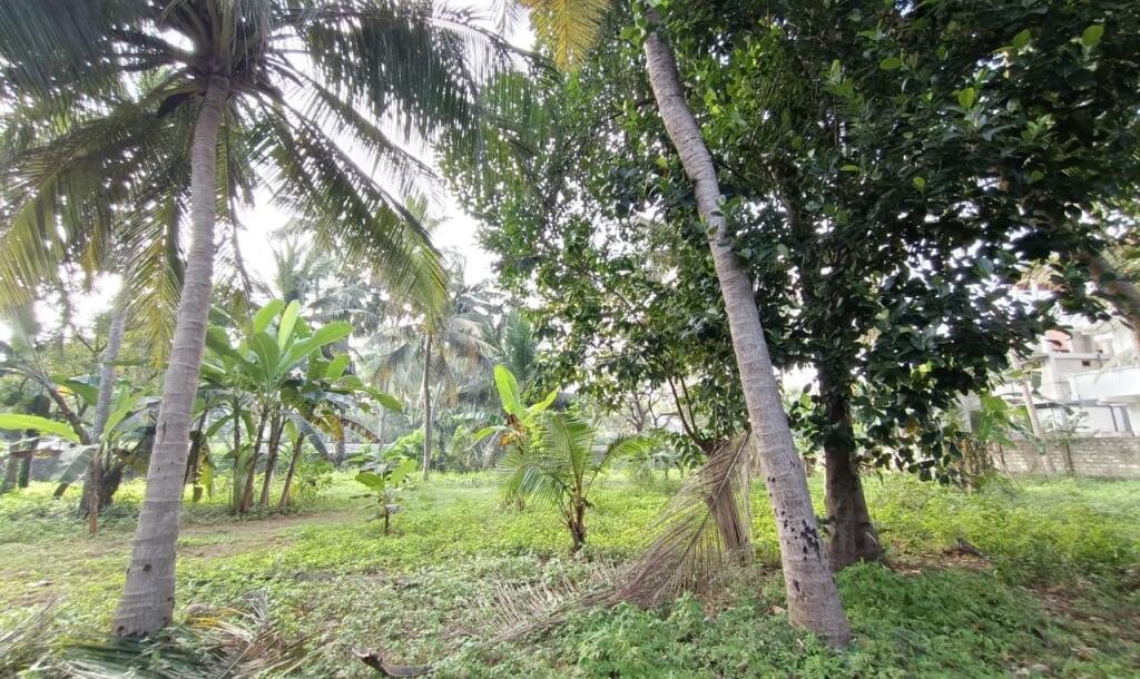 காணி 5 பரப்பு-1