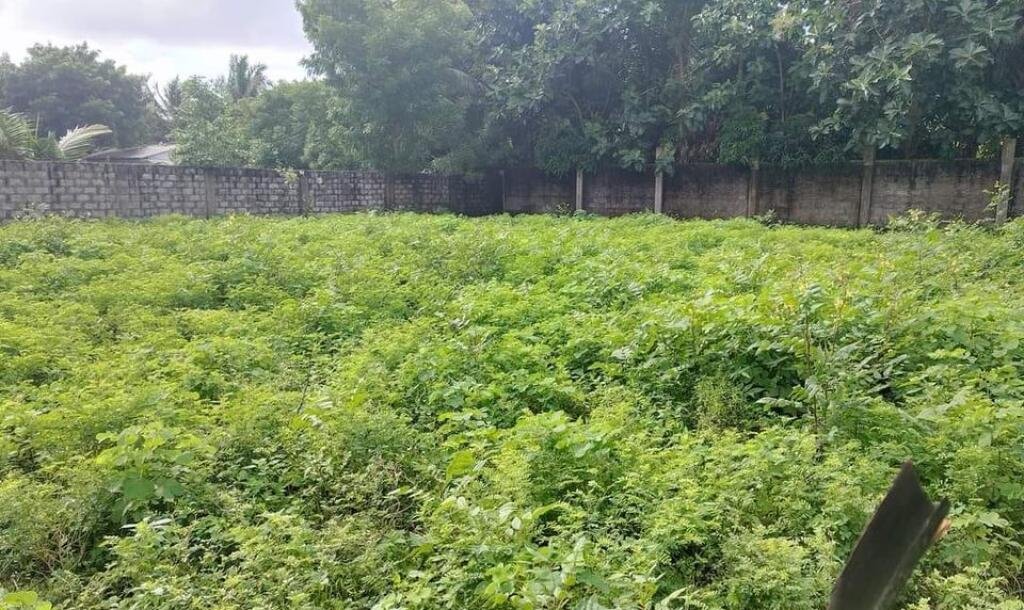 1.75 பரப்பு காணி விற்பனைக்கு-3