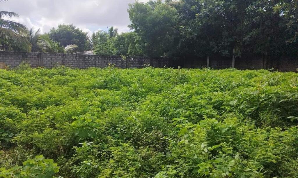 1.75 பரப்பு காணி விற்பனைக்கு-2