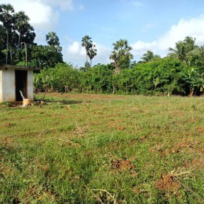 23 பரப்பு   செம்மண் தோட்டக்காணி விற்பனைக்கு