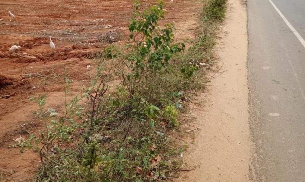 4.5 / 3 பரப்பு காணி விற்பனைக்கு-2