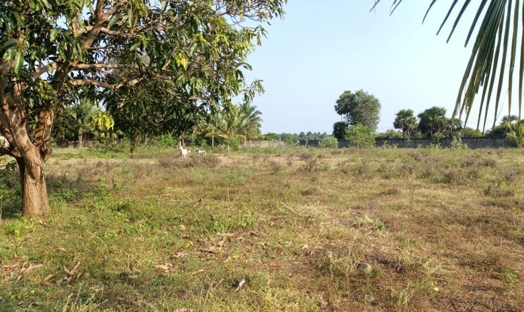 33பரப்பு காணி விற்பனைக்கு-6