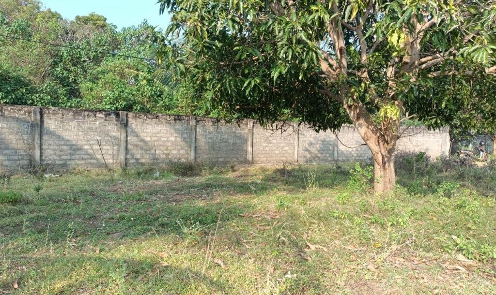 33பரப்பு காணி விற்பனைக்கு-5