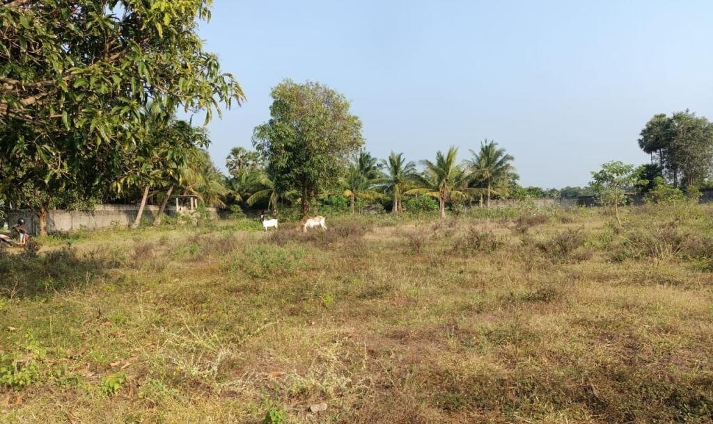33பரப்பு காணி விற்பனைக்கு-4