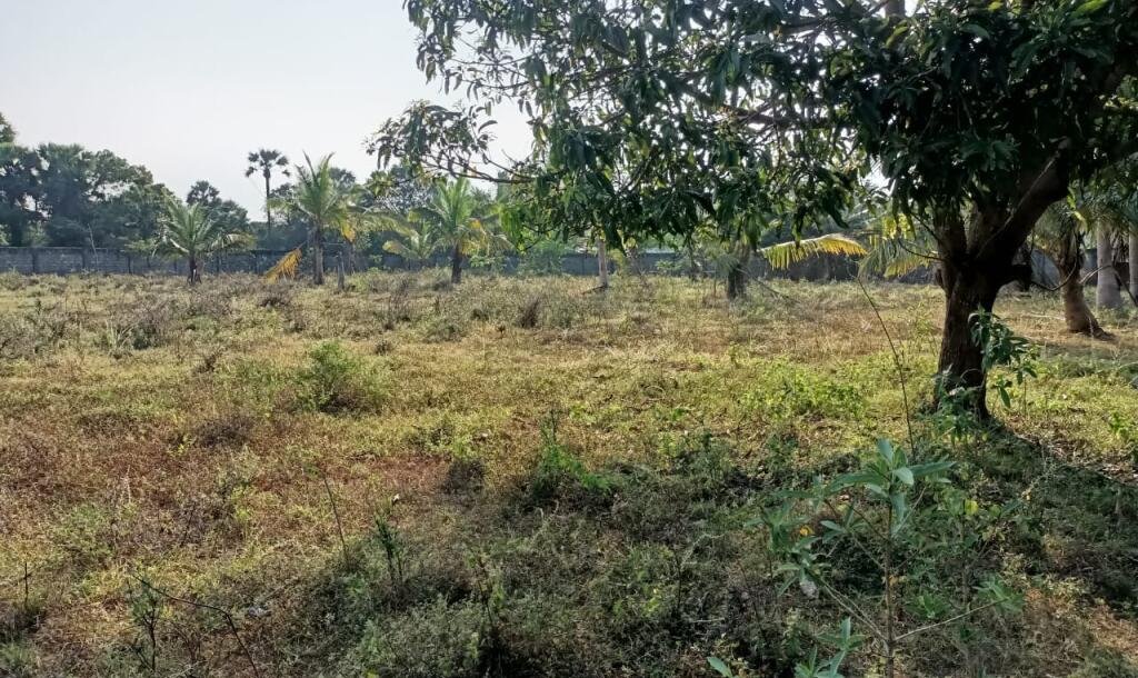 33பரப்பு காணி விற்பனைக்கு-3