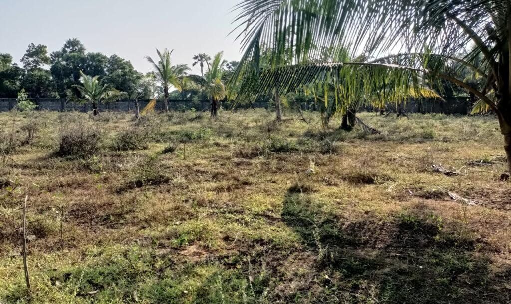 33பரப்பு காணி விற்பனைக்கு-2