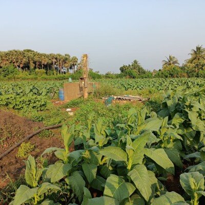 103 பரப்பு செம்மண் தோட்டக்காணி விற்பனைக்கு