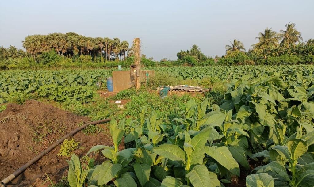 103 பரப்பு செம்மண் தோட்டக்காணி விற்பனைக்கு-6
