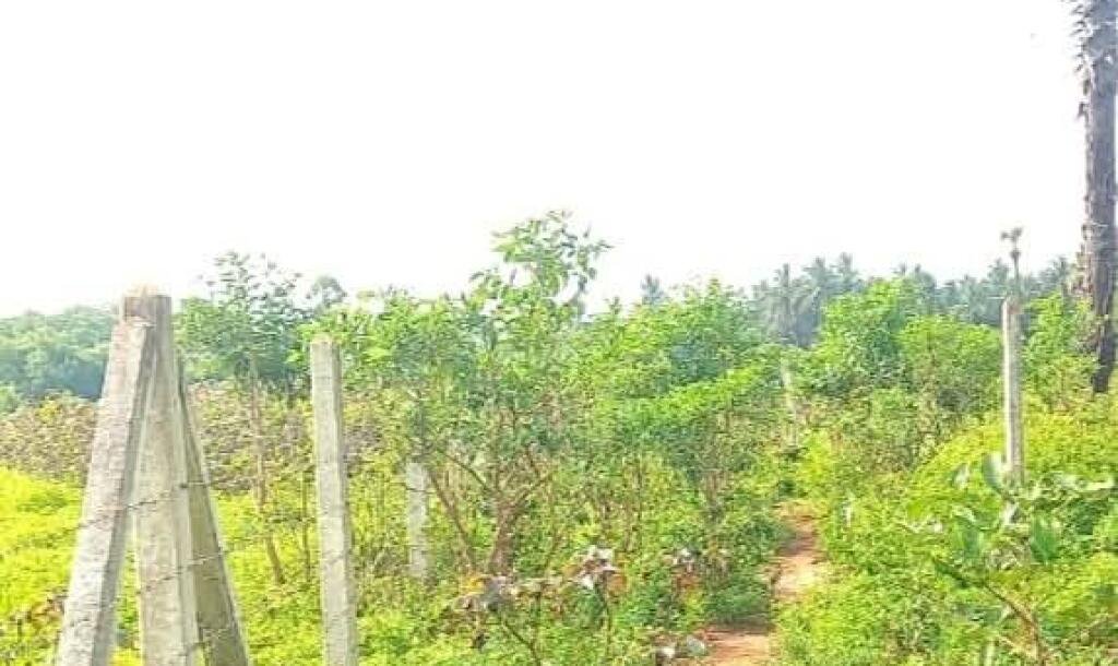 Jaffna - Gani is for sale in town area.-4