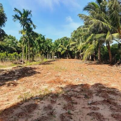யாழ்ப்பாணம் - கீரிமலை நகுலேஸ்வரம் கோவில்க்கு அண்மையில் "கீரிமலை வீதியோரமாக" உள்ள காணி விற்பனைக்கு உள்ளது-4