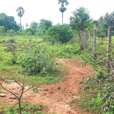 Jaffna - Gani is for sale in town area.-1