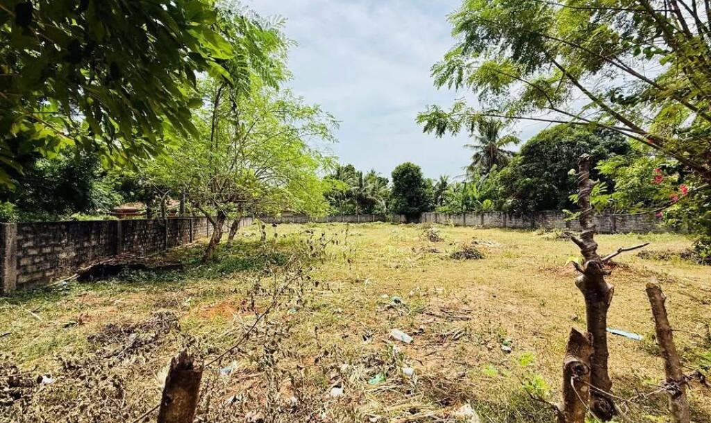 5 parappu ghani for sale near medical faculty in Kokuvil.-3