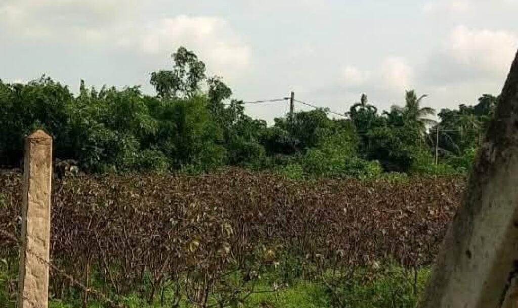Jaffna - Gani is for sale in town area.-3