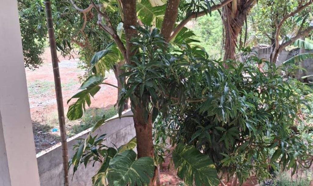 ஊரெழு பகுதியில் 2.1/2 பரப்பு மாடி வீடு விற்பனைக்கு உள்ளது-9