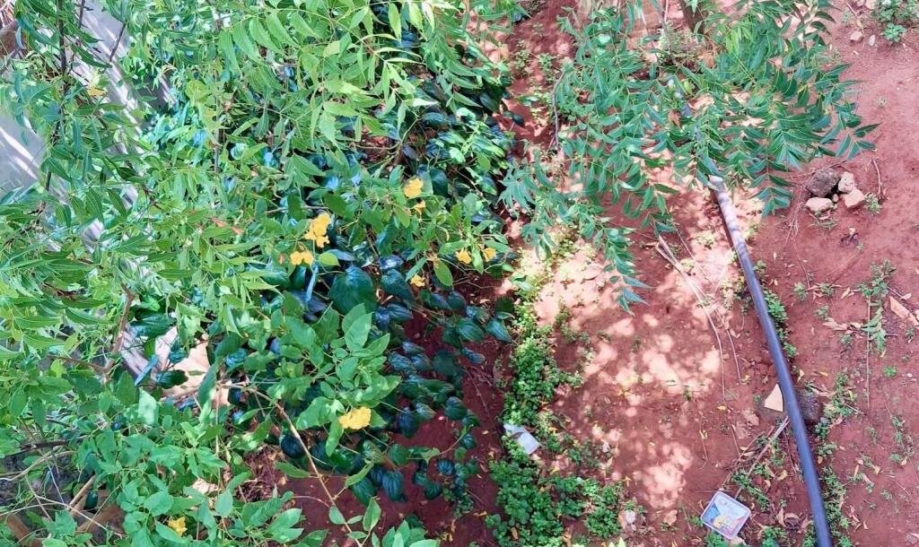 ஊரெழு பகுதியில் 2.1/2 பரப்பு மாடி வீடு விற்பனைக்கு உள்ளது-6