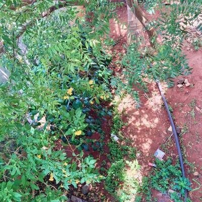 ஊரெழு பகுதியில் 2.1/2 பரப்பு மாடி வீடு விற்பனைக்கு உள்ளது-6