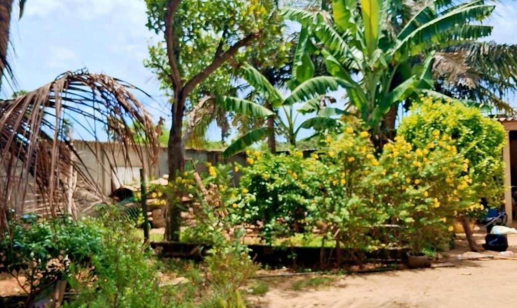 ஊரெழு பகுதியில் 2.1/2 பரப்பு மாடி வீடு விற்பனைக்கு உள்ளது-5