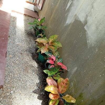 New house for sale in Godagama Negoda 1.5km to high level road-8