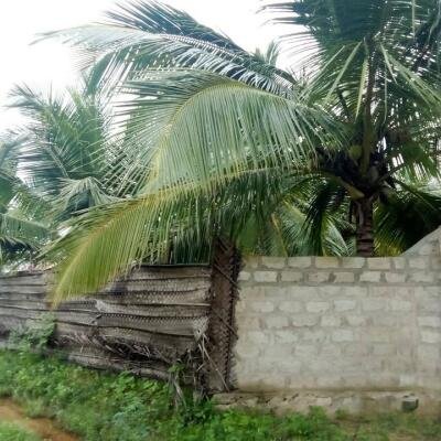House for sale in Kilinochchchi Aanaivilunthan area-3