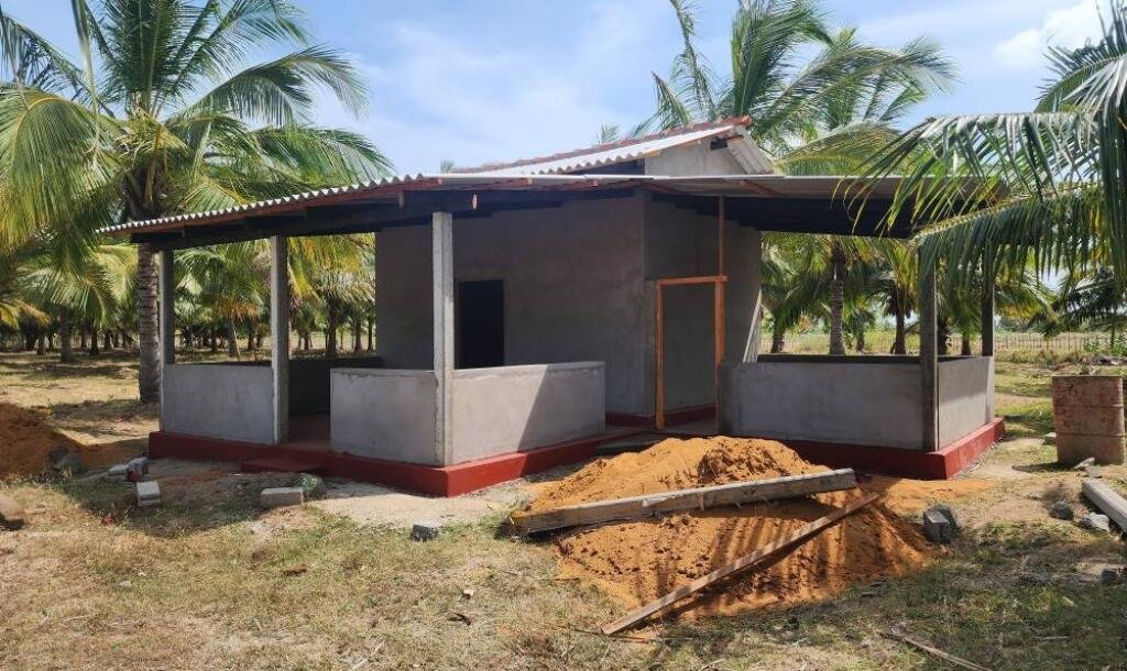 20 acre coconut garden for sale-1