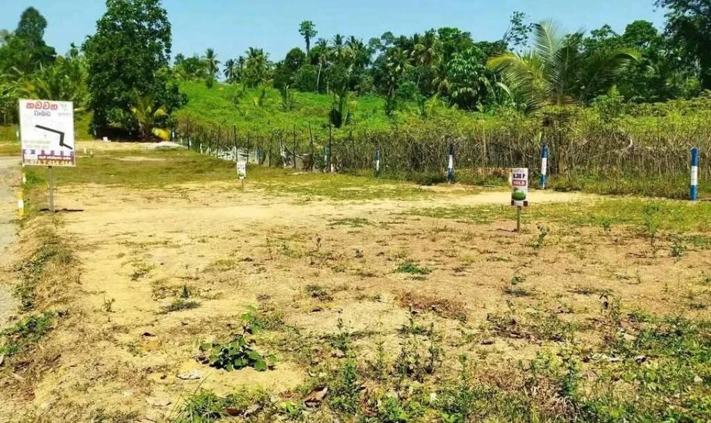 5 valuable plots near Kadawatha Wabada road for sale immediately.-7