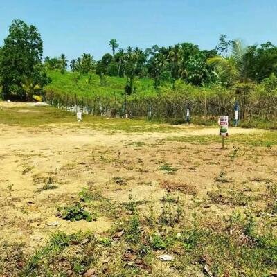5 valuable plots near Kadawatha Wabada road for sale immediately.