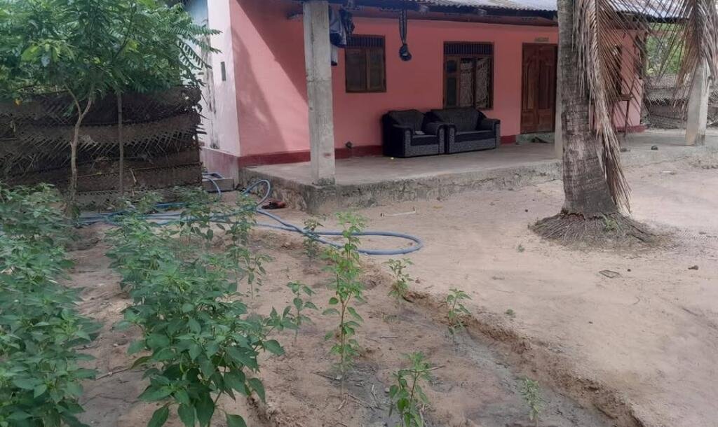 4 பரப்பு காணி மற்றும் வீடு விற்பனைக்கு உண்டு இடம்:கிளிநொச்சி-5