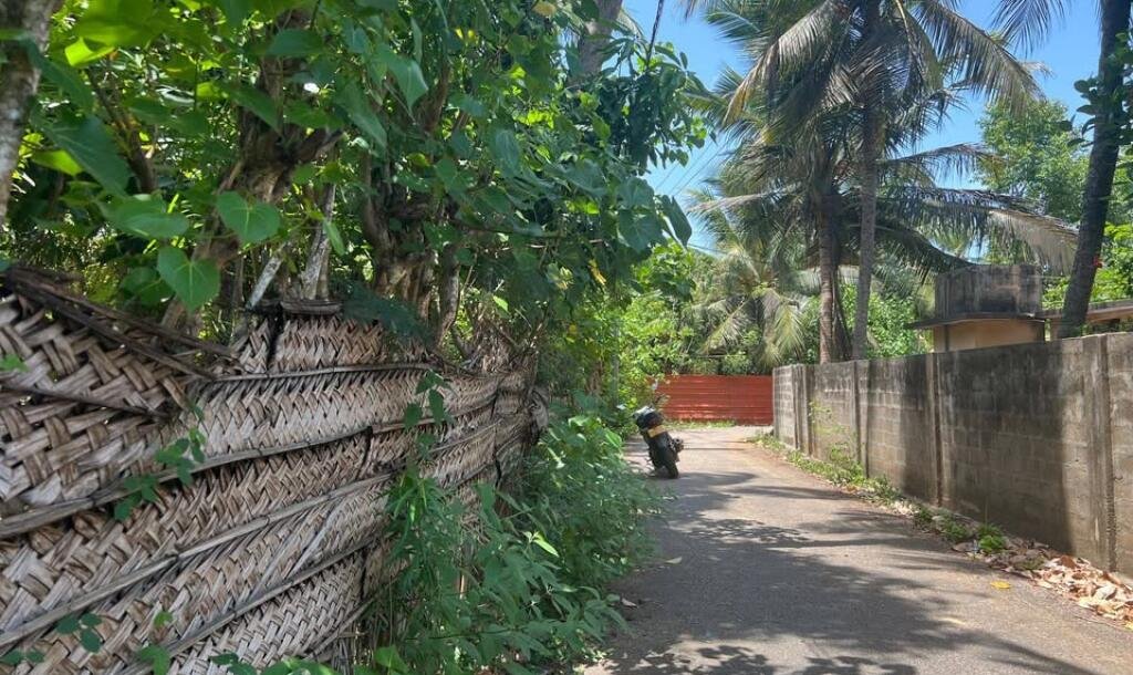 நீர்வேலி சிறுப்பிட்டியில் 2பரப்பு காணி விற்பனைக்கு-1