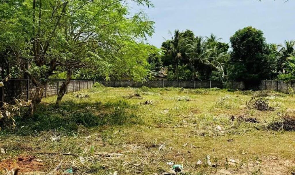 5 parappu ghani for sale near medical faculty in Kokuvil.-1