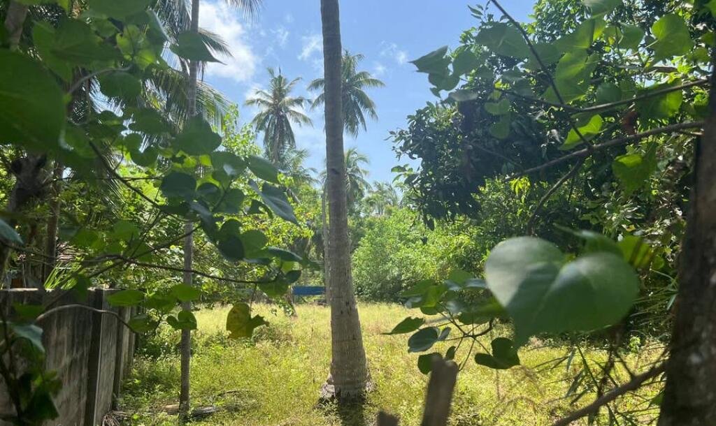 நீர்வேலி சிறுப்பிட்டியில் 2பரப்பு காணி விற்பனைக்கு-2