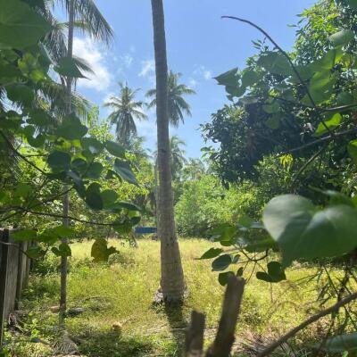 நீர்வேலி சிறுப்பிட்டியில் 2பரப்பு காணி விற்பனைக்கு