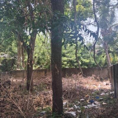 Jaffna - இராமநாதன் வீதி  அருகில் காணி விற்பனைக்கு உள்ளது.-5