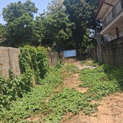 Jaffna - இராமநாதன் வீதி  அருகில் காணி விற்பனைக்கு உள்ளது.-2