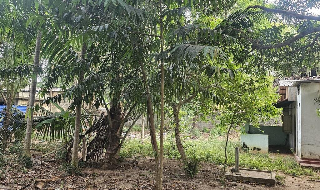 யாழ்ப்பாணம் கோண்டாவிலில் 4.25 பரப்பு காணியுடன் இடைக்கால வீடு விற்பனைக்கு-2