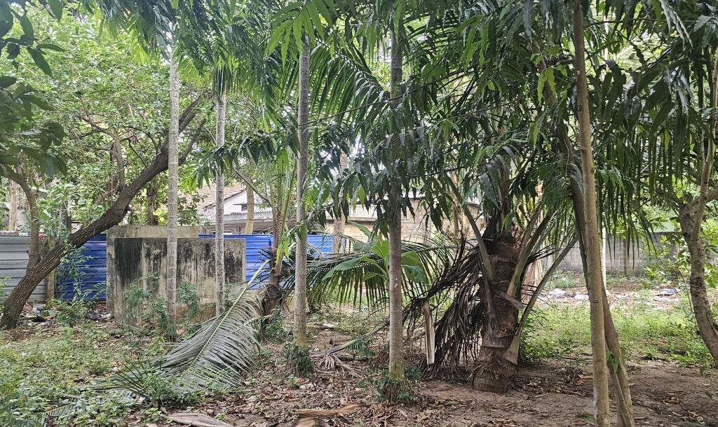யாழ்ப்பாணம் கோண்டாவிலில் 4.25 பரப்பு காணியுடன் இடைக்கால வீடு விற்பனைக்கு-4