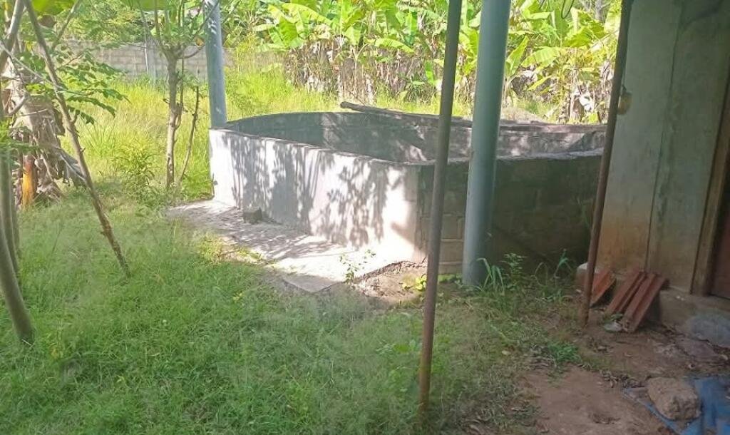 வவுனியா, தோணிக்கல், ஆலடி வீதிக்கு அருகில், 4 பரப்பு உறுதிக்காணி விற்பனைக்கு. 2 பக்க மதில், வீடு உள்ளது-6