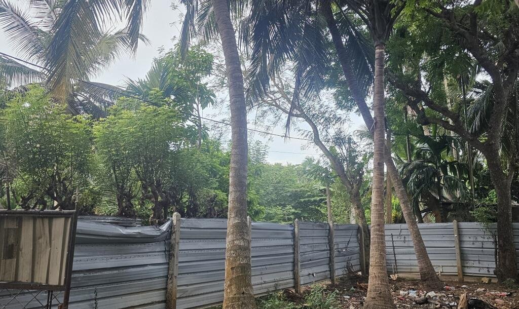 யாழ்ப்பாணம் கோண்டாவிலில் 4.25 பரப்பு காணியுடன் இடைக்கால வீடு விற்பனைக்கு-3