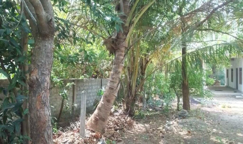 கைதடி - A9 வீதிக்கு அருகாமையில் அமைந்துள்ள, வீட்டுடன் கூடிய காணி விற்பனைக்கு prime location காணி-5