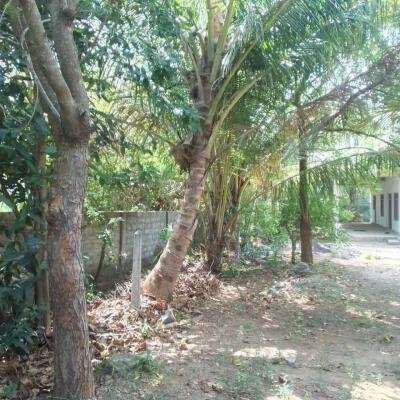 கைதடி - A9 வீதிக்கு அருகாமையில் அமைந்துள்ள, வீட்டுடன் கூடிய காணி விற்பனைக்கு prime location காணி-5