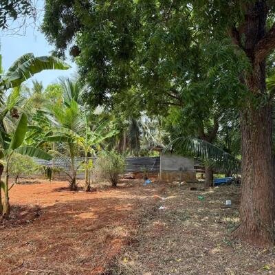 யாழ்ப்பாணம் புன்னாலைக்கட்டுவனில் 12.5 பரப்பு செம்மண் காணி விற்பனைக்கு-3