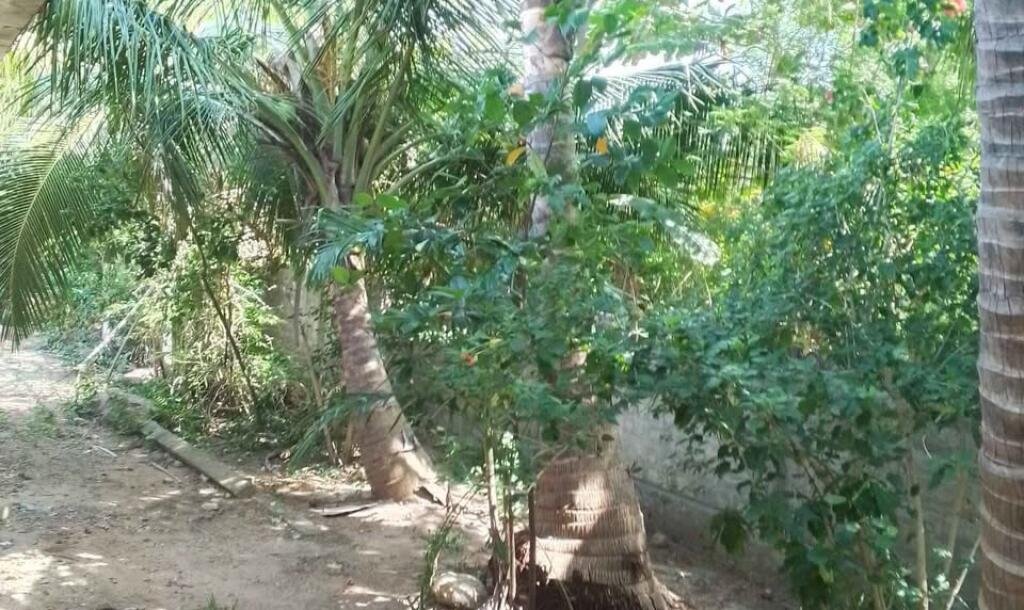 கைதடி - A9 வீதிக்கு அருகாமையில் அமைந்துள்ள, வீட்டுடன் கூடிய காணி விற்பனைக்கு prime location காணி-8