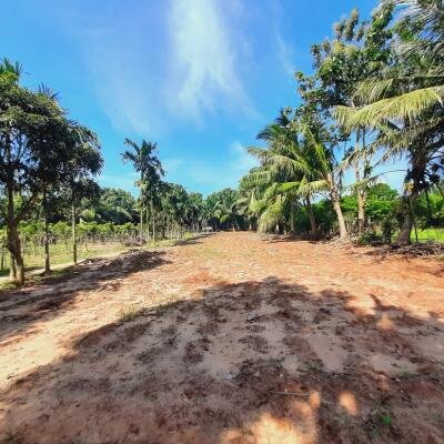 யாழ்ப்பாணம் - கீரிமலை நகுலேஸ்வரம் கோவில்க்கு அண்மையில் "கீரிமலை வீதியோரமாக" உள்ள காணி விற்பனைக்கு உள்ளது-5