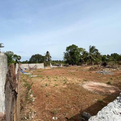 வவுனியா பாரதிபுரம் பகுதியில் 𝟐 பக்கம் மதிலுடன் கூடிய 𝟒 பரப்புக் காணி விற்பனைக்கு உள்ளது-3