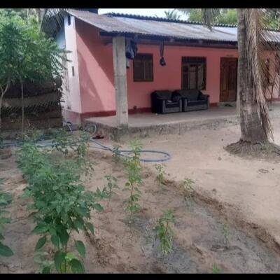 4 பரப்பு காணி மற்றும் வீடு விற்பனைக்கு உண்டு இடம்:கிளிநொச்சி-2