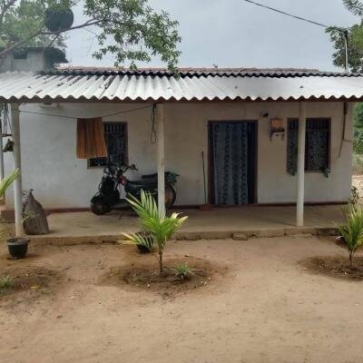 Shop and house sale