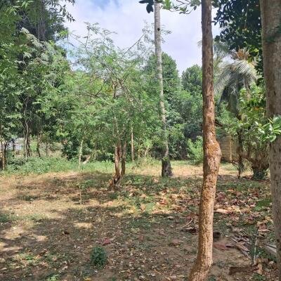 land for sale in 500 meters from Manipai Kuzhavadichandi.-2