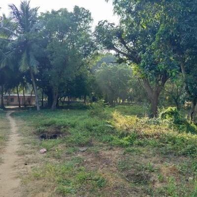 24 Parappu Residential Land For Sale in Nedungulam Road in Ariyalai, Jaffna-3