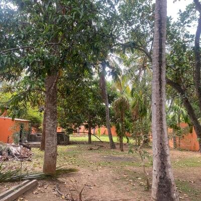 8 Spacious Farmer House with Round Wall for Sale along Neriyakulam Main Road-13
